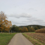 Weg zum Lindenweiher