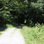 Weg zum Brunnenholzried Bad Waldsee