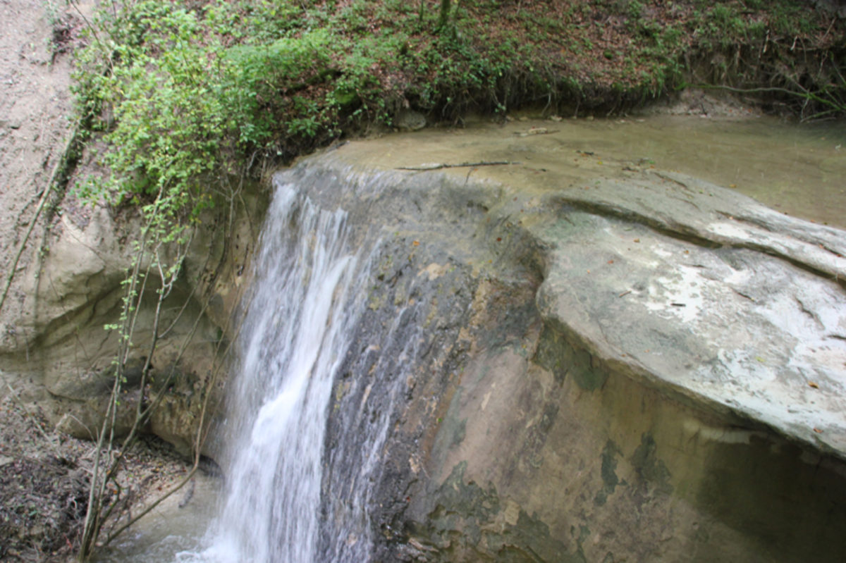 Buttenmühlebach: Wandernder Wasserfall im Tobel | Oberschwabens  Sehenswürdigkeiten