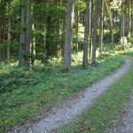 07 Wanderweg durch Neu Waldsee
