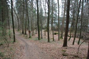 Wanderweg Naturschutzgebiet Schreckensee