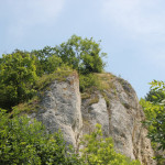 020 Felsen Donautal