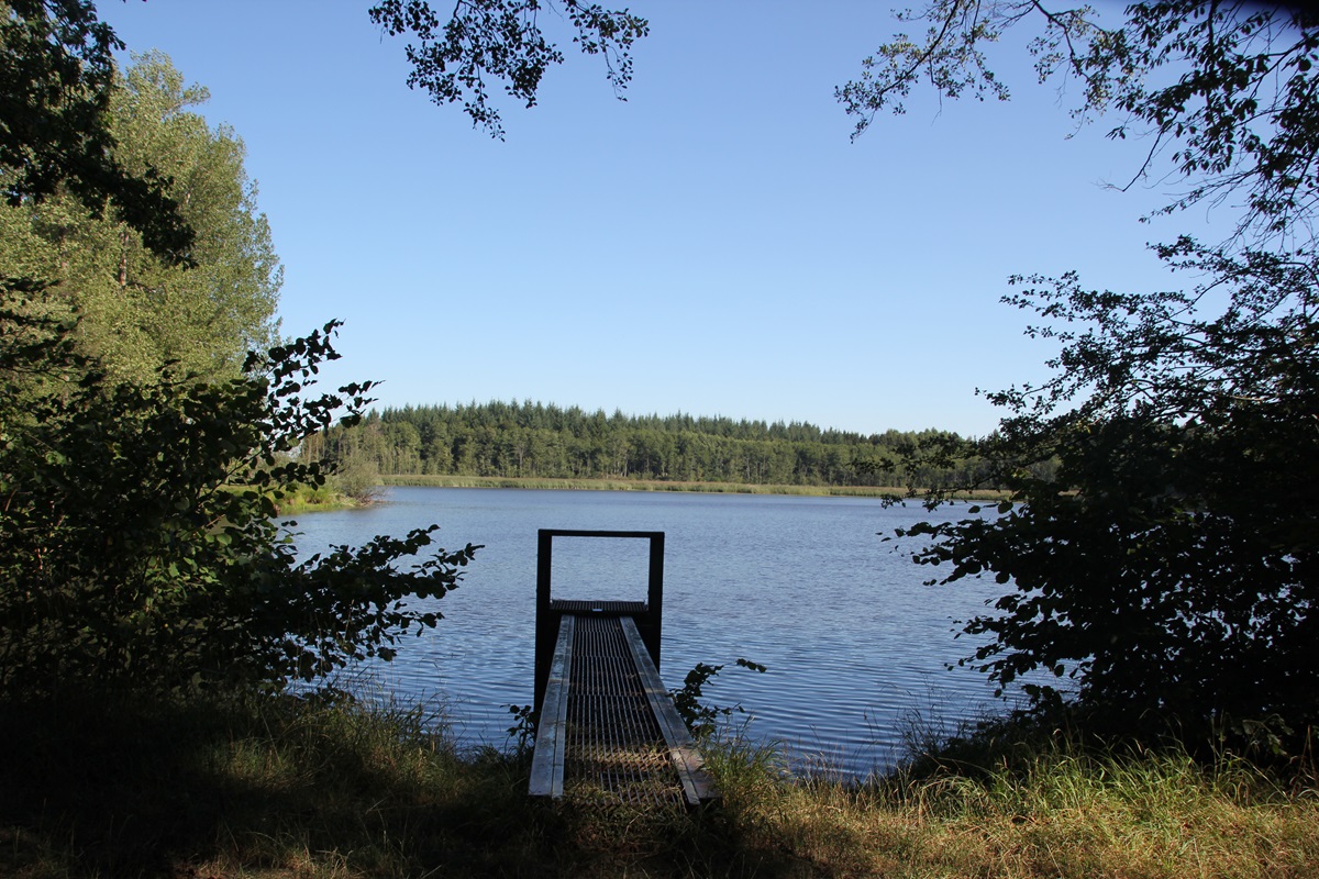 Stockweiher Wolfegg Steg