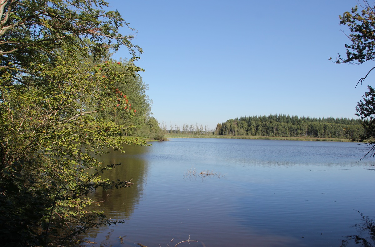 Stockweiher Wolfegg Wasserfläche