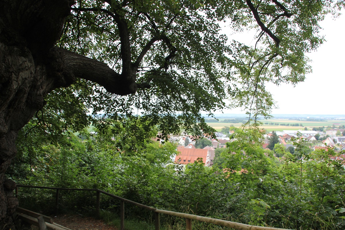 Ausblick bei der St Nikolaus-Linde Erolzheim