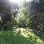 Wald Naturschutzgebiet Gründlenried-Rötseemoos